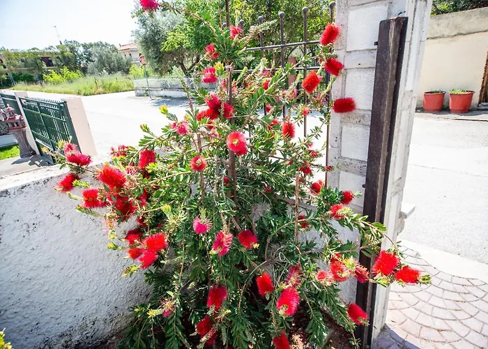 Nikoleta House * Vrasná