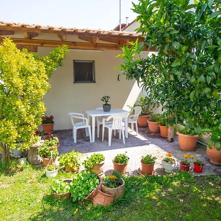 Apartament Nikoleta House